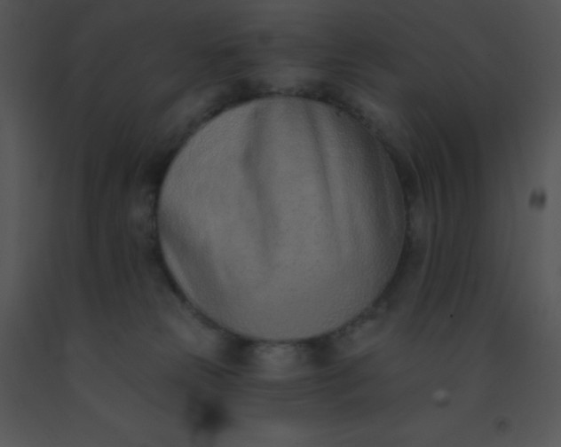 X0000091560181200708311422