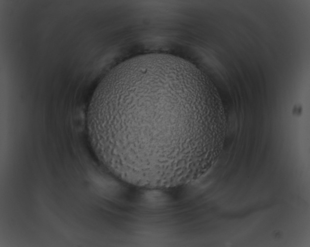 X0000091560183200708311422