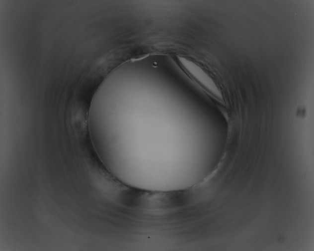 X0000091560186200708311423