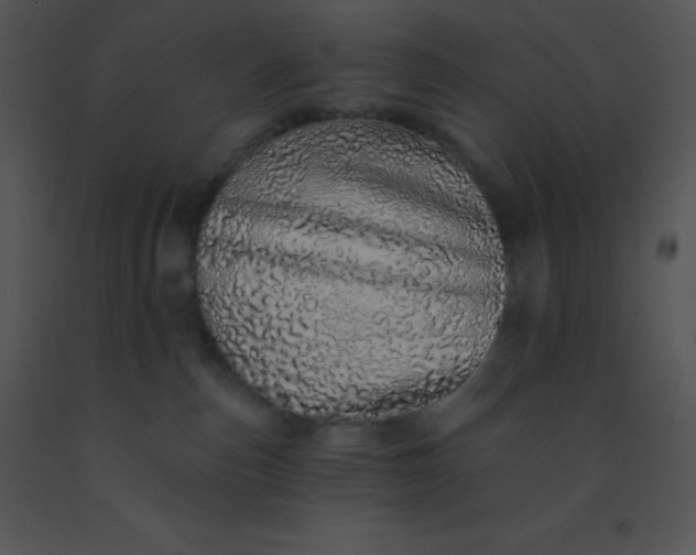 X0000091560187200708311423