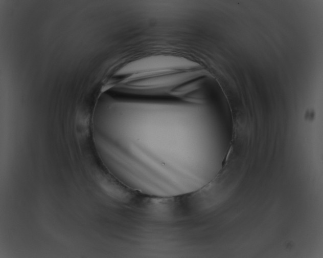 X0000091560188200708311423