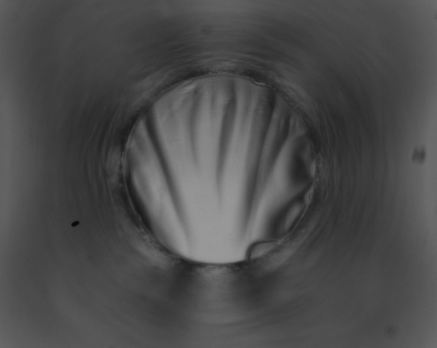 X0000091560189200708311423