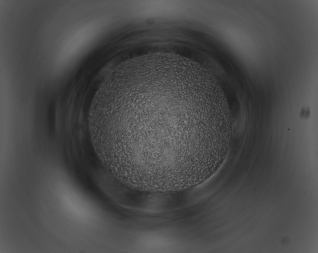 X0000091560191200708311423