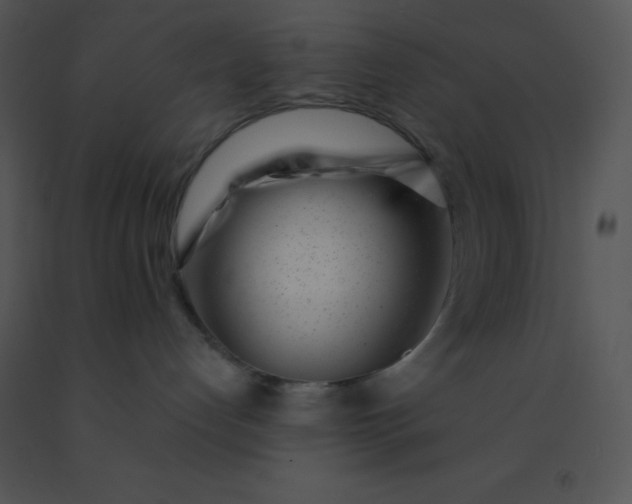 X0000091560192200708311423