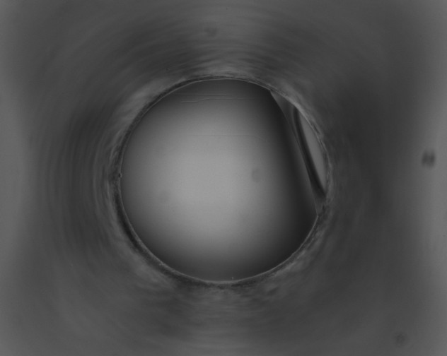 X0000091560193200708311422