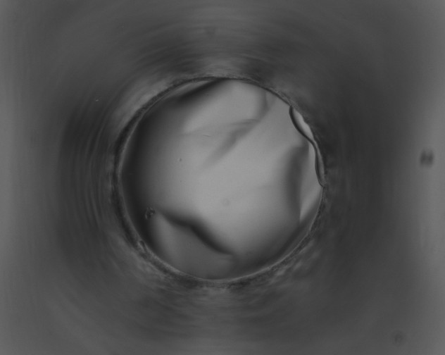 X0000091560194200708311422