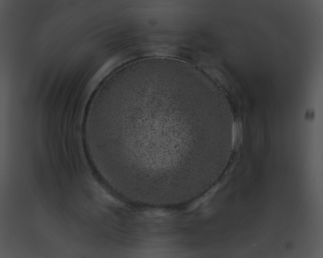 X0000091560195200708311422