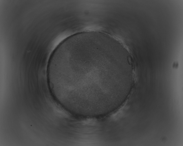 X0000091560196200708311422