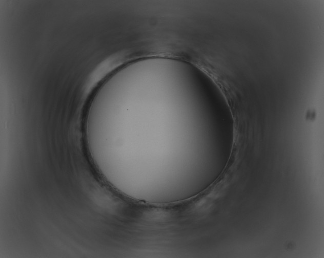 X0000091560198200708311422