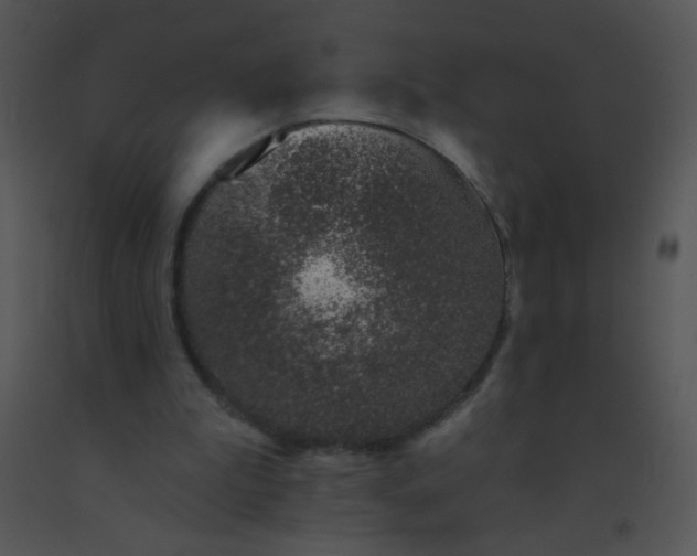 X0000091560199200708311422