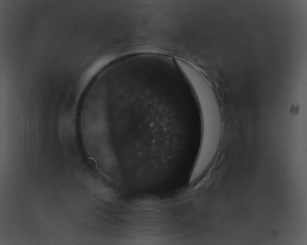 X0000091560200200708311422