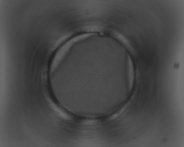 X0000091560202200708311422