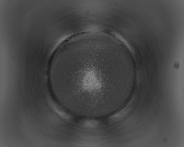 X0000091560203200708311422