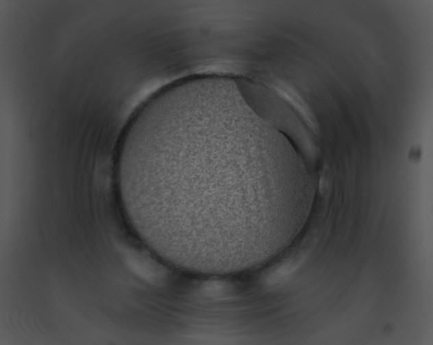 X0000091560204200708311421