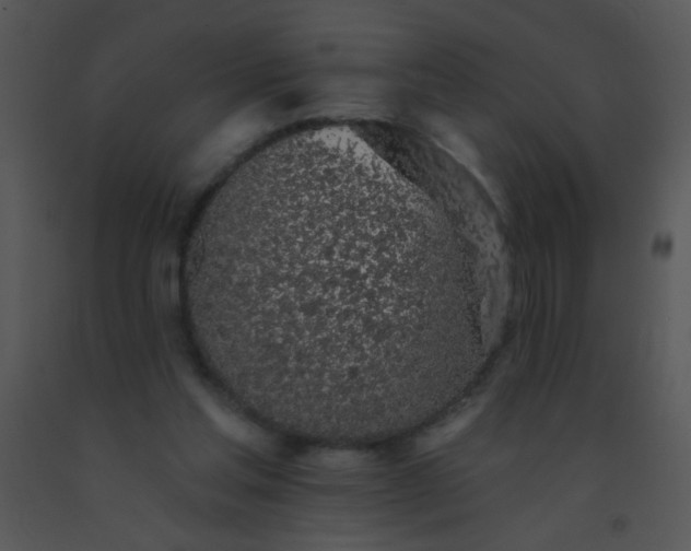 X0000091560205200708311421