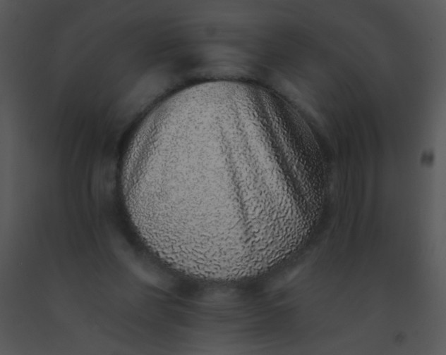 X0000091560206200708311421