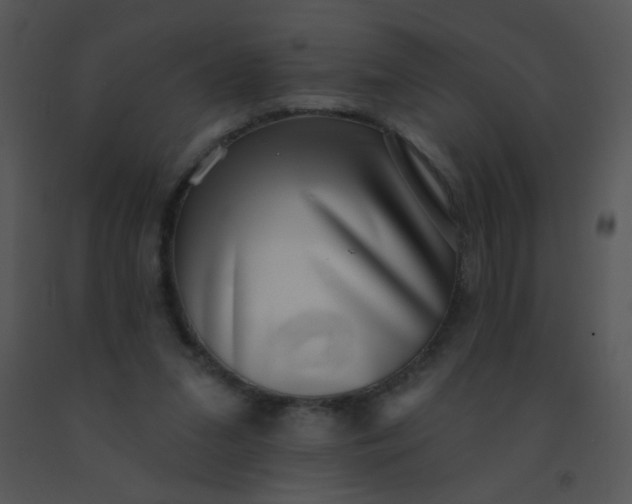 X0000091560207200708311421