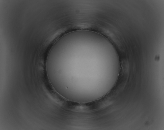 X0000091560212200708311421