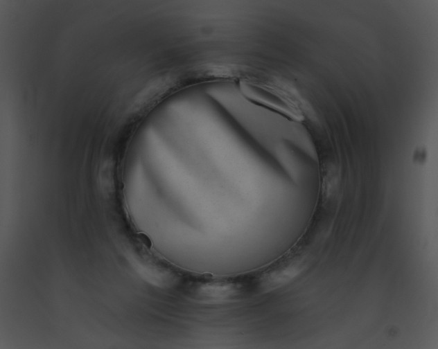 X0000091560213200708311421