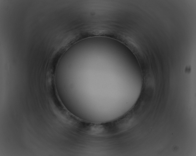 X0000091560214200708311421