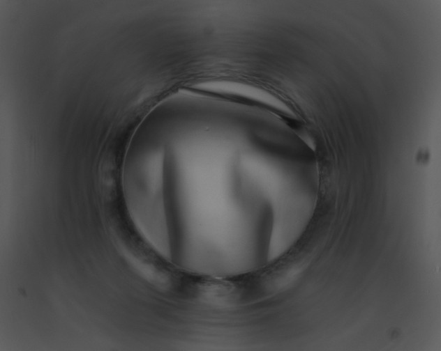 X0000091560215200708311421