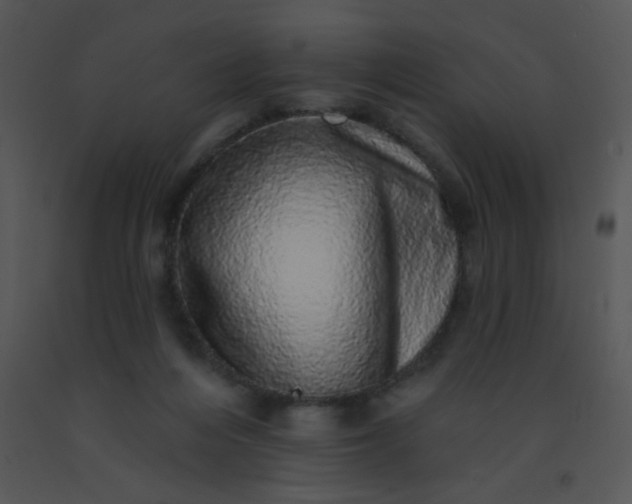 X0000091560216200708311421