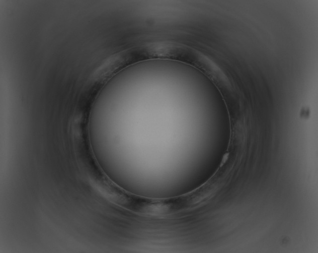 X0000091560217200708311421