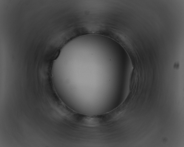 X0000091560221200708311421