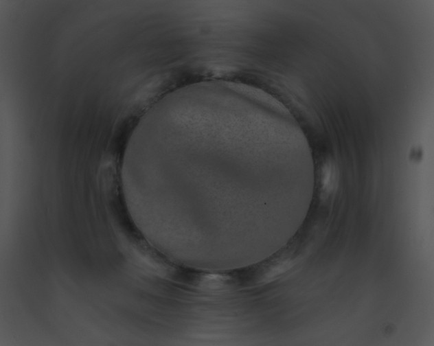 X0000091560222200708311421