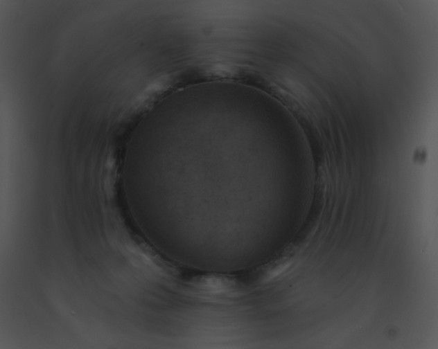 X0000091560223200708311421