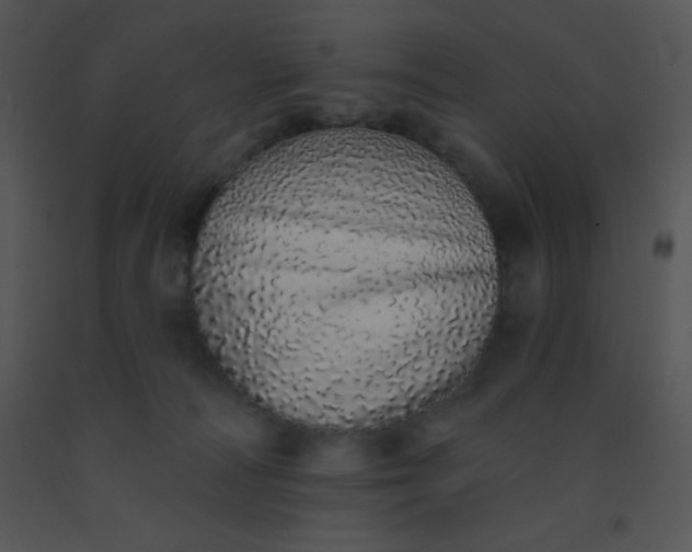 X0000091560226200708311421