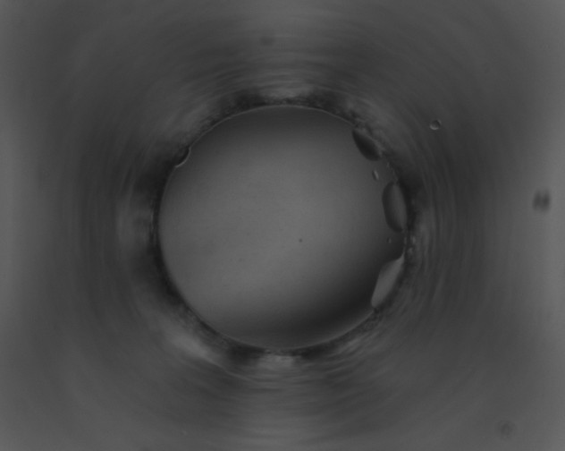 X0000091560227200708311421