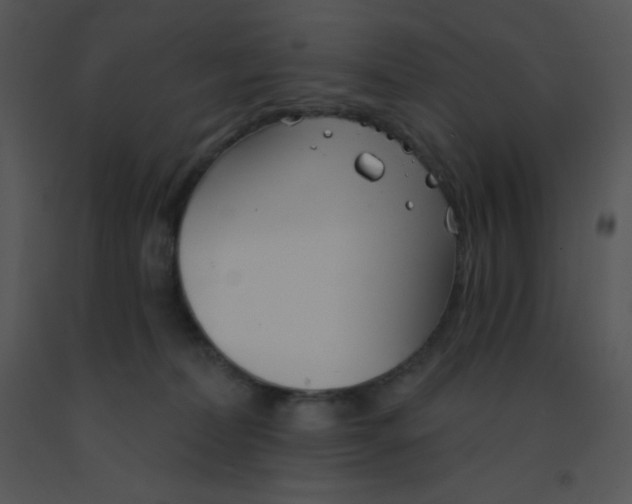 X0000091560228200708311421