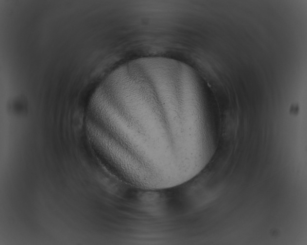 X0000091560230200708311421