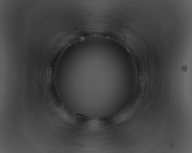 X0000091560231200708311421