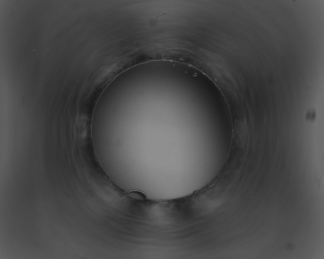 X0000091560232200708311421