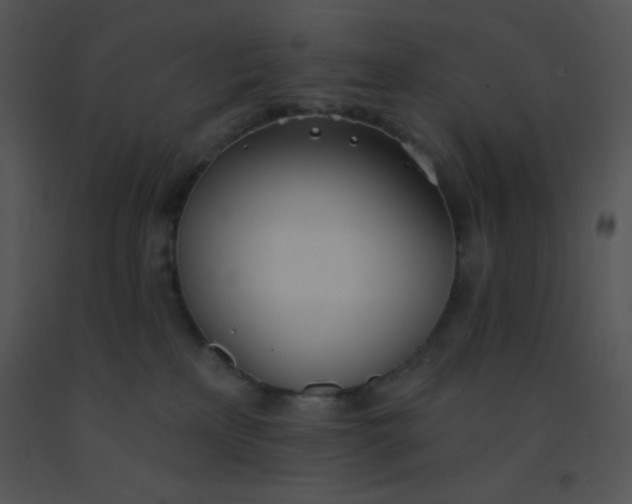 X0000091560233200708311421