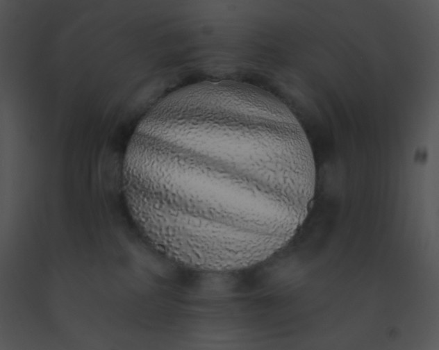 X0000091560234200708311421