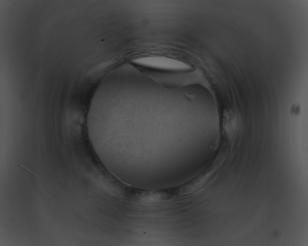 X0000091560235200708311421