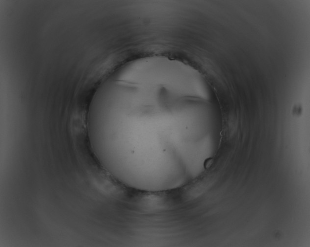 X0000091560236200708311421