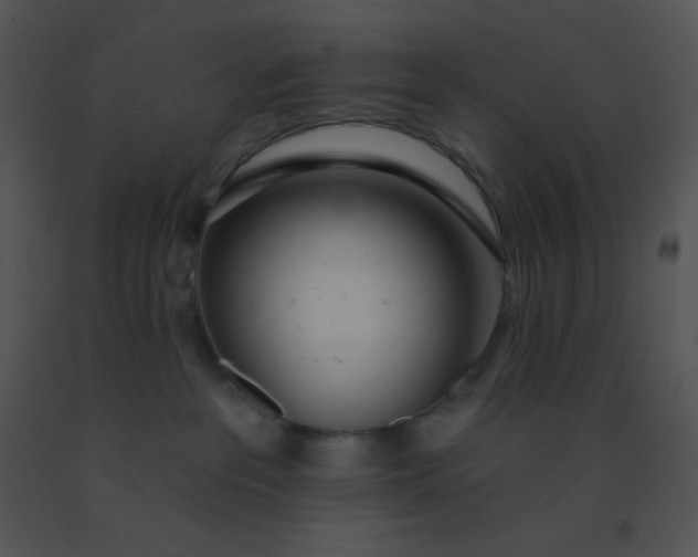 X0000091560237200708311421