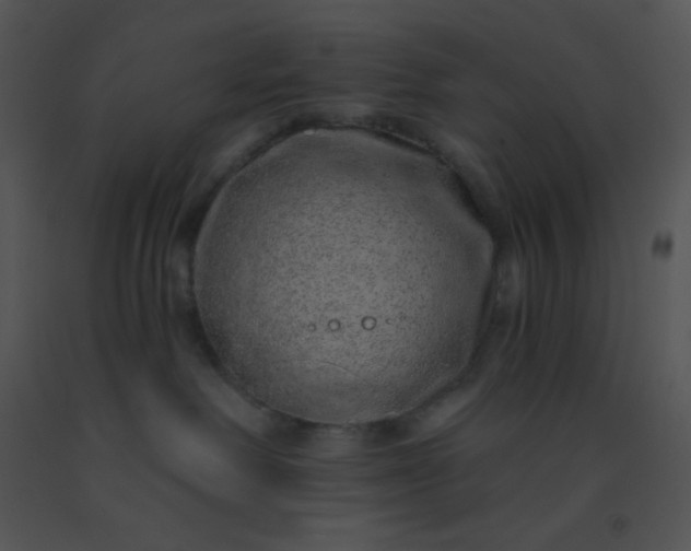 X0000091560238200708311421