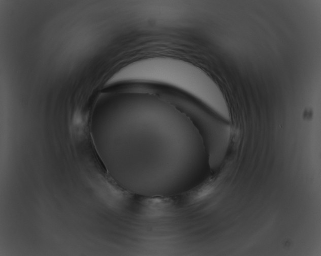 X0000091560239200708311421