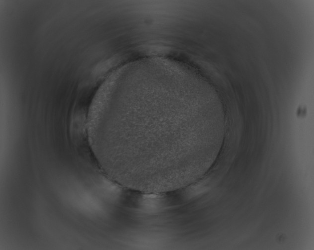 X0000091560240200708311421