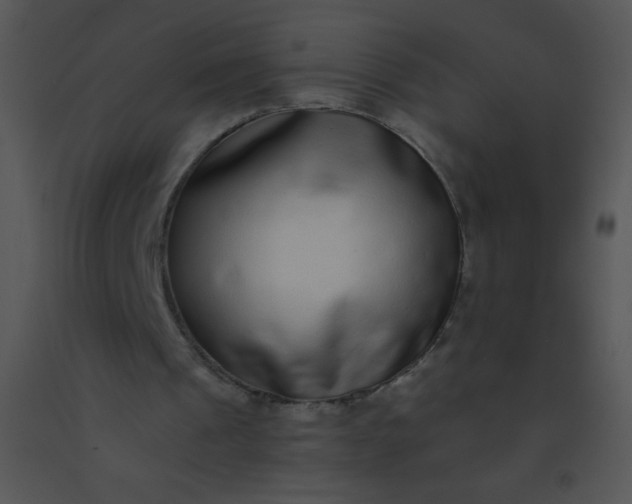 X0000091560241200708311420