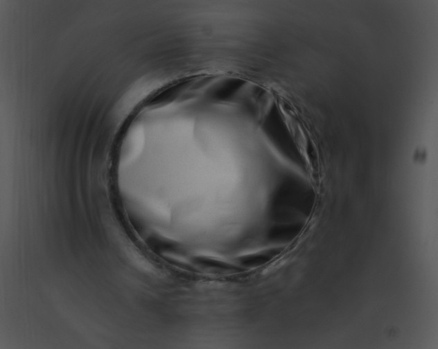 X0000091560242200708311420