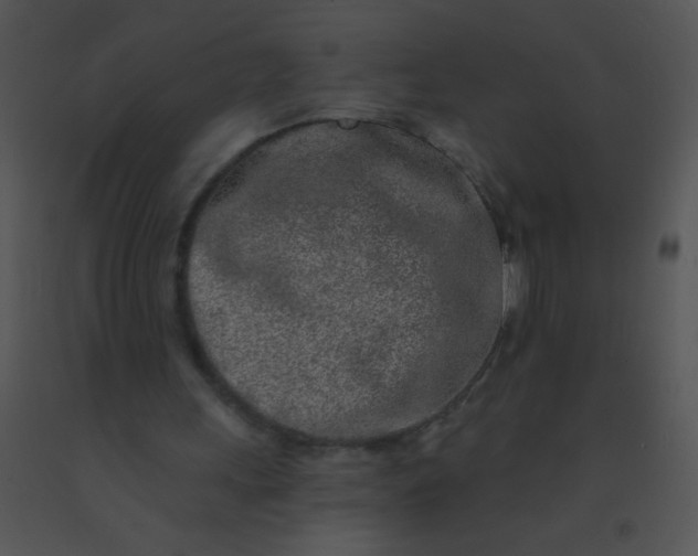 X0000091560243200708311420