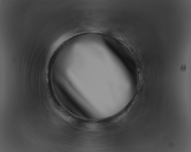 X0000091560246200708311421