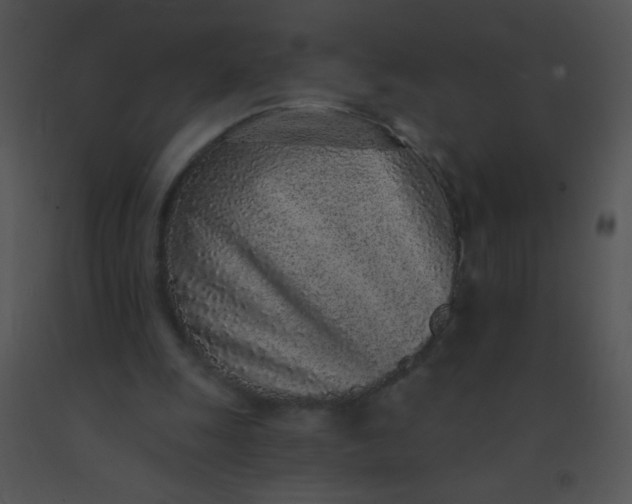 X0000091560247200708311421