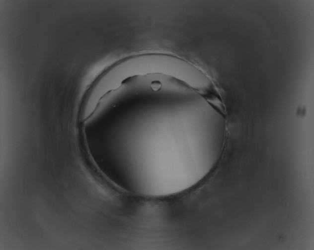 X0000091560248200708311421